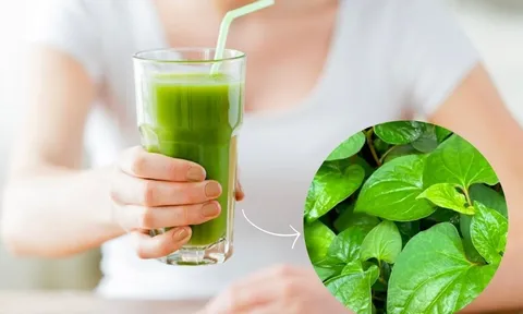 Rau diếp cá có thực sự tốt cho da mụn? Những công dụng và lưu ý cần biết khi sử dụng