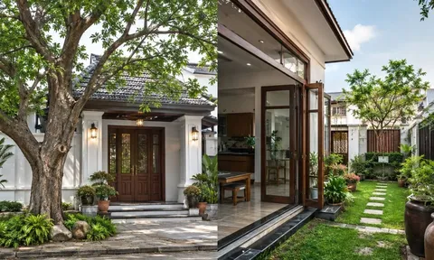 Vì sao người xưa dặn: Trước nhà không trồng cây lớn, sau nhà không mở cửa rộng