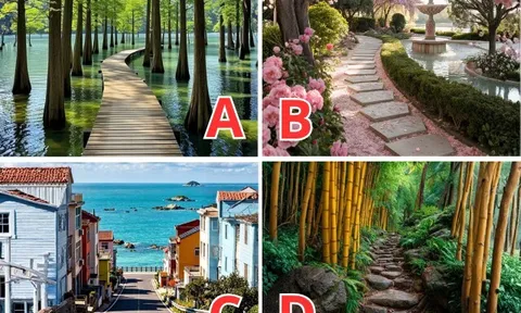Trắc nghiệm: Chọn lối đi thu hút bạn nhất hé lộ vận số con cái, liệu bạn sẽ sinh một hay nhiều con?