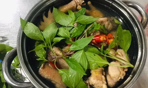Luộc gà muốn chín đều, ngọt thịt cứ cho thêm nắm lá này