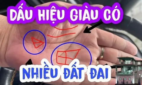 Người tài ba xuất chúng càng già càng giàu có 3 nét tướng này trên lòng bàn tay: Đó là gì?