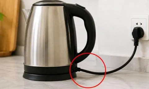 Vì sao dây điện của ấm siêu tốc thường siêu ngắn?