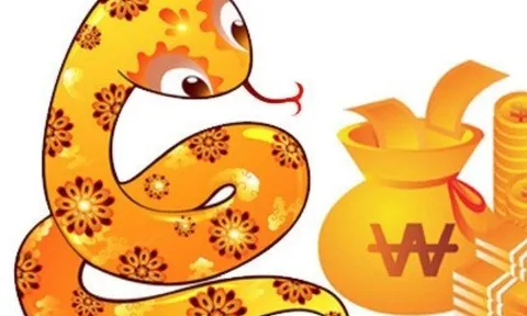 Tử vi tuần mới 29/6-5/7: Tỵ lội ngược dòng, Thìn sức ép tạo kim cương