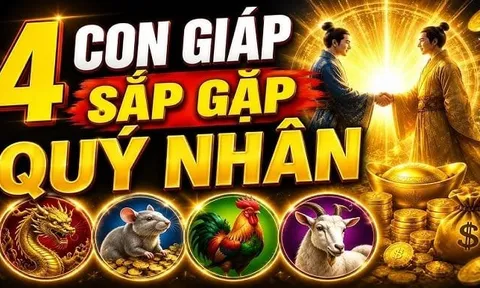 Đi chậm mà chắc, 4 con giáp Quý Nhân đến muộn sau tuổi 45