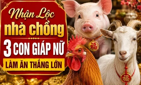 Nhận Lộc nhà chồng 3 con giáp nữ làm ăn thắng lớn