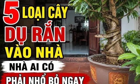 5 loại cây dụ rắn vào nhà, nhà ai có phải nhổ bỏ ngay