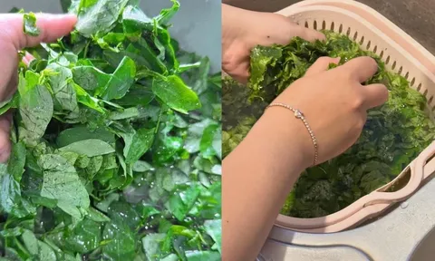 Tại sao khi nấu canh rau ngót, phải vò lá rau trước khi cho vào nồi?