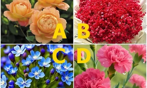Trắc nghiệm: Chọn 1 bông hoa, tiết lộ bạn sắp gặp đúng người hay lại dính "đào hoa xấu"