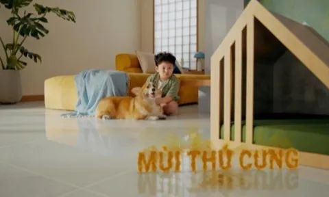 Liệu nước lau sàn có thể khử mùi hôi mà vẫn an lành cho thú cưng?