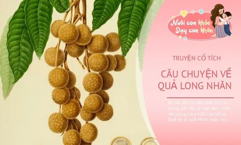 Truyện cổ tích: Sự tích quả long nhãn