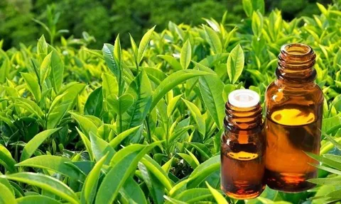 3 dưỡng chất có thể hỗ trợ giảm cân và góp phần duy trì cơ thể khỏe mạnh