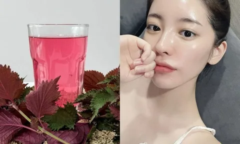 Cách dùng nước lá tía tô rửa mặt giúp mờ thâm nám, giảm mụn ẩn, làm da sáng mịn