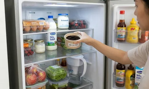 Cho thứ này vào tủ lạnh, 15 phút sau mùi hôi tan biến: Mẹo nhỏ cực hay mà ít ai biết!