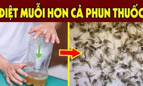 Trộn bột giặt với bia có công dụng gì?
