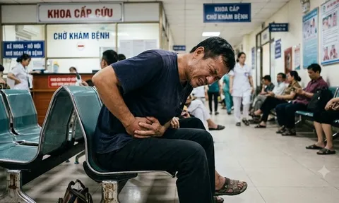 Vì sao ung thư dạ dày ở Mỹ gần như "biến mất"? Đây là cách họ đã làm