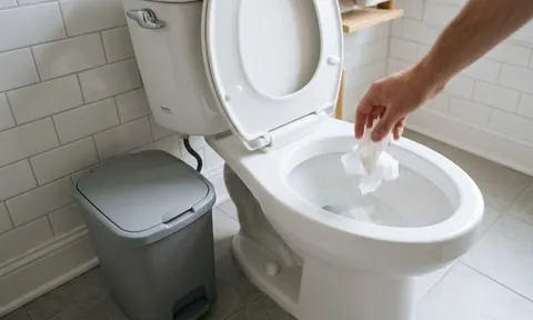 Đi vệ sinh xong, nên vứt giấy vào bồn cầu hay vứt vào thùng rác?
