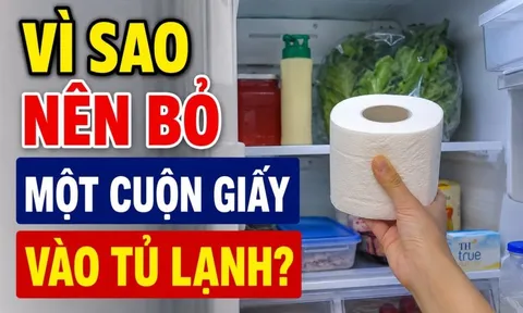 Vì sao nên bỏ một cuộn giấy vào tủ lạnh?