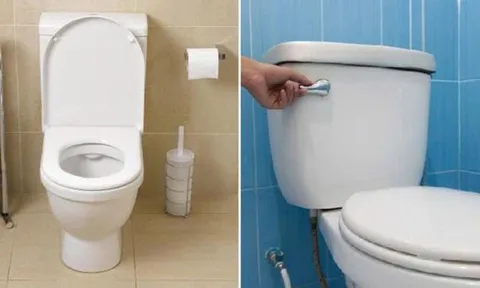 Khi không sử dụng bồn cầu, nên đóng hay mở nắp?