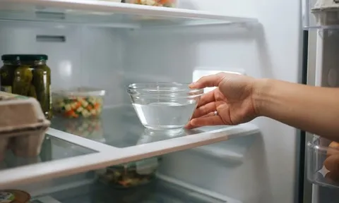 Tại sao bạn nên đặt một bát giấm vào tủ lạnh?