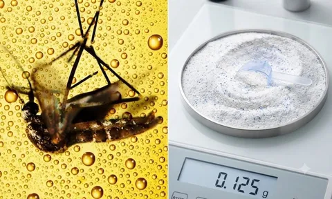 Đuổi muỗi hiệu quả chỉ với bia và bột giặt: Mẹo cực hay không cần dùng hóa chất