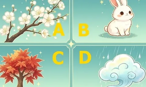 Trắc nghiệm: Trong chuyện tình cảm, bạn sẽ "khổ trước sướng sau" hay viên mãn từ đầu? Chọn một bức hình là rõ