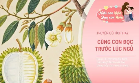 Truyện cổ tích: Sự tích quả sầu riêng