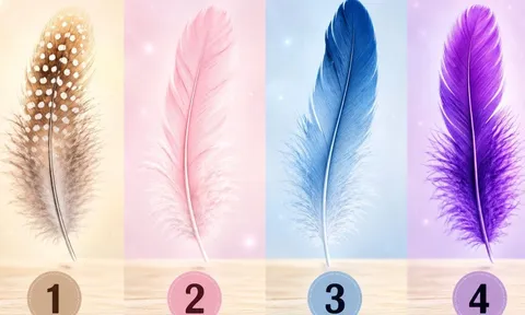 Chọn 1 chiếc lông vũ để khám phá chỉ số may mắn của bạn đang ở mức độ nào