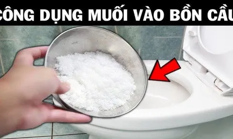 Thả nắm muối  trắng vào bồn cầu: Biết lý do rồi ai cũng muốn làm theo