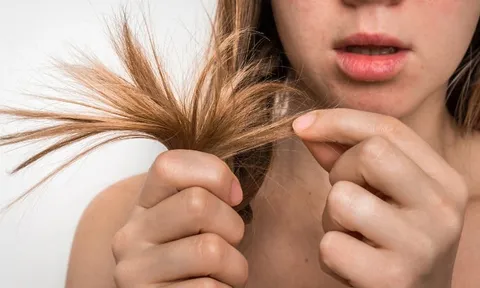 Tóc vẫn khô xơ dù dùng dầu gội đắt tiền? Có thể bạn đang mắc những thói quen này