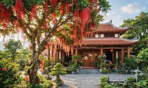 4 loại cây trồng cây càng xanh tươi người càng may mắn giàu có