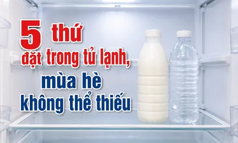 5 thứ đặt trong tủ lạnh, mùa hè không thể thiếu