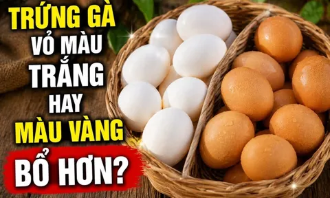 Trứng gà vỏ màu trắng hay màu vàng bổ hơn?