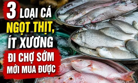 3 loại cá ngọt thịt, ít xương đi chợ sớm mới mua được