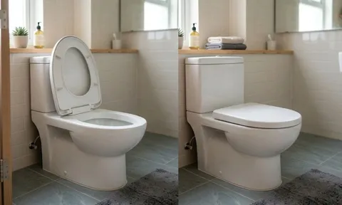 Sau khi đi vệ sinh, nên đóng hay mở nắp bồn cầu?