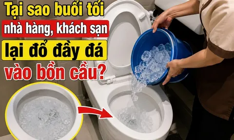 Tại sao buổi tối nhà hàng, khách sạn lại đổ đầy đá vào bồn cầu?