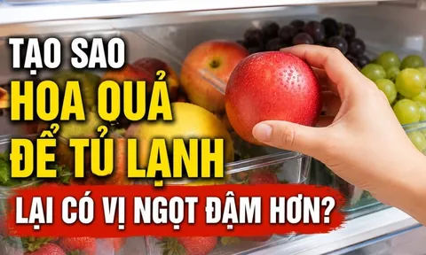 Tạo sao hoa quả để tủ lạnh lại có vị ngọt đậm hơn?