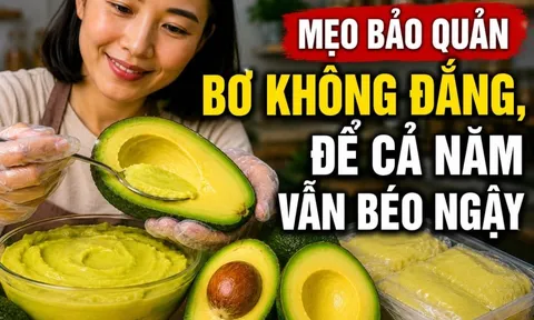 Mẹo bảo quản bơ không đắng, để cả năm vẫn béo ngậy