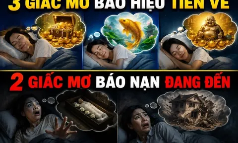 3 giấc mơ báo hiệu Tiền về, 2 giấc mơ báo nạn đang đến