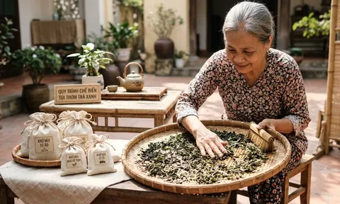 Loại lá nhiều người bỏ đi nhưng khử mùi rất tốt, giúp nhà cửa thơm mát tự nhiên