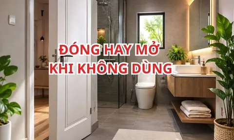 Nhiều người vẫn làm sai: Cửa nhà vệ sinh khi không dùng thì nên đóng hay mở?