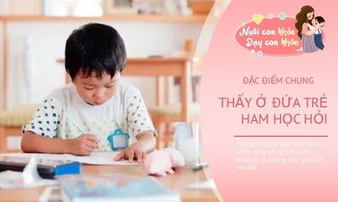 Những đứa trẻ lớn lên học giỏi, IQ cao đều có 4 đặc điểm chung