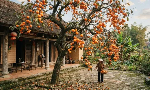 3 loại cây trồng trước nhà đừng dại chặt đi