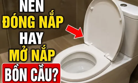 Nên đóng nắp hay mở nắp bồn cầu?
