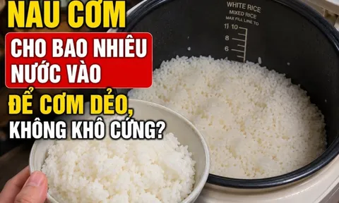 Nấu cơm cho bao nhiêu nước vào để cơm dẻo, không khô cứng?