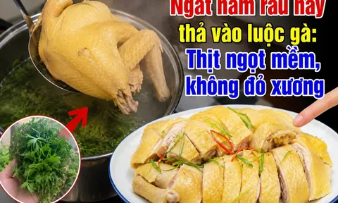 Ngắt nắm rau này thả vào luộc gà: Thịt ngọt mềm, không đỏ xương