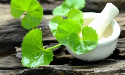 Rau má mang lại lợi ích gì cho làn da?