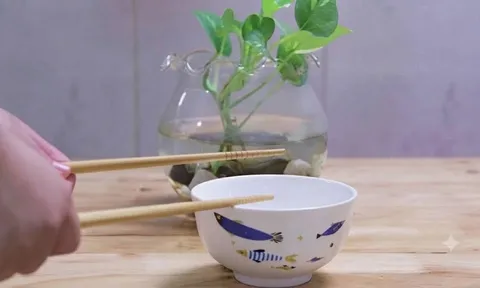 Tại sao người xưa cấm kỵ việc gõ đũa vào bát khi ăn?