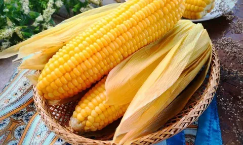 Tại sao ngày càng nhiều người không cho đường khi luộc ngô, thêm thứ này ngô càng mềm ngọt chẳng phải ai cũng biết