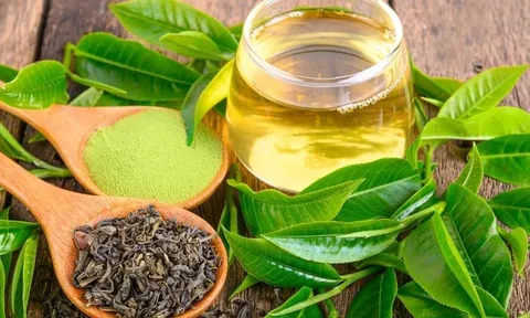 5 nguyên liệu tự nhiên giúp xông hơi da mặt tại nhà, hỗ trợ làm sạch và nuôi dưỡng làn da