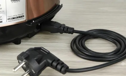 Tại sao dây nguồn nồi cơm điện "tháo rời" được, còn máy sấy, quạt lại gắn cố định?